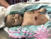 »»»»»»»»» حامیــــان غـــــــــــــــزه ««««««««